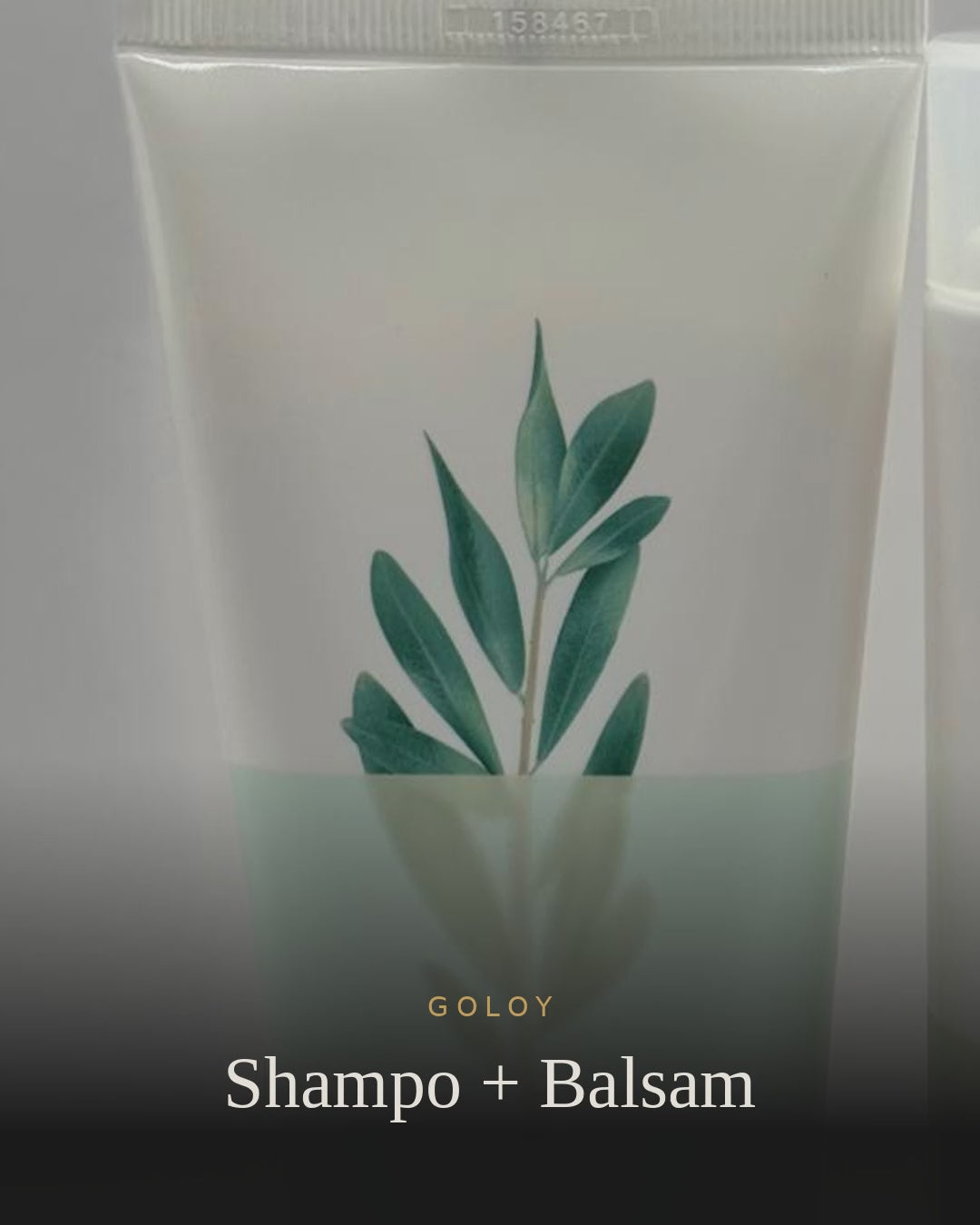 Shampo + Balsam Goloy